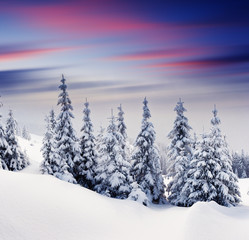 winter landscape