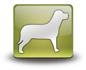 Yellow 3D Effect Icon 