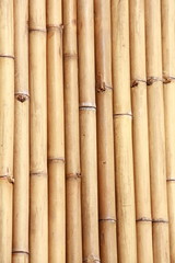 natural bamboo