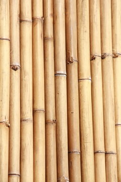 natural bamboo