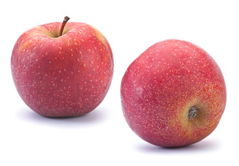 Ripe apple fruit