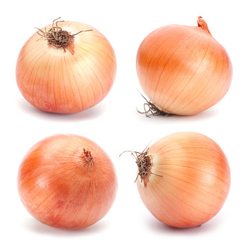 Orange onion vegetable