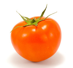 Ripe tomato