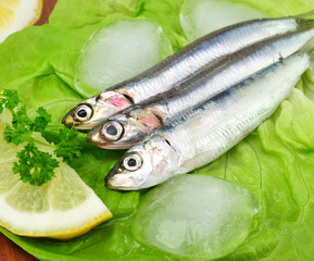 Salat, Fisch