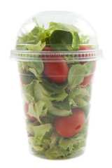 Salad shaker