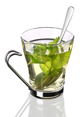 Cup of tea with fresh mint (clipping path included)