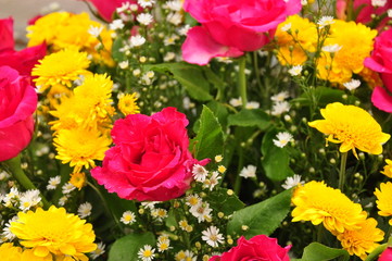 Obraz premium Bouquet of flowers