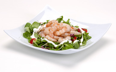 shrimp salad on a white plate