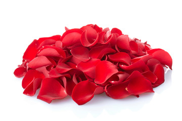 Rose petals isolated with clipping path