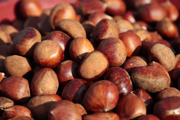 chestnuts