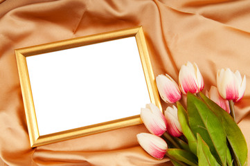 Picture frames and tulips flowers on satin