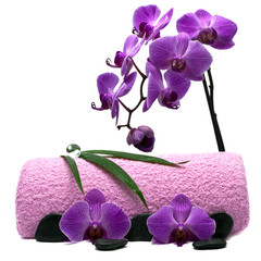 Fototapeta premium Wellness Orchidee