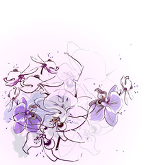 gentle vector flavor of  blooming orchids