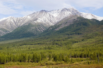 Mountain which has grown with wood on a Baikal-Amur Mainline