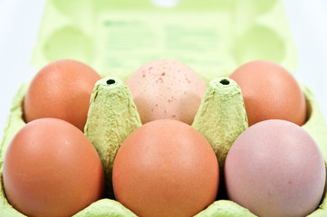 Eier