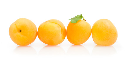 apricots