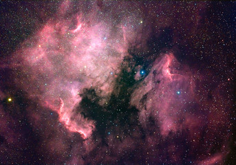North America nebula (NGC 7000) - obrazy, fototapety, plakaty