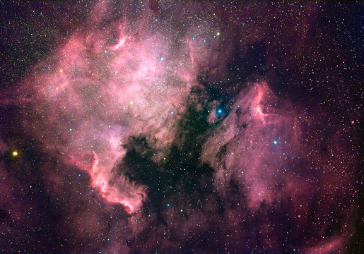 North America nebula (NGC 7000)