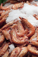 crevettes roses sur glace pour les fêtes