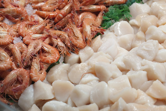 crevettes roses et noix de saint jacques