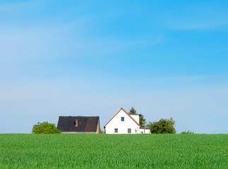 Naklejka na ściany i meble House on green agriculture field