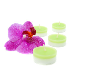 candles with a pink orchid