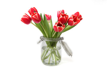 Tulpen in einem Einmachglas auf weiß isoliert