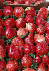 strawberries
