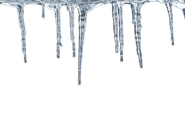 Thawing icicles isolated on white background - obrazy, fototapety, plakaty