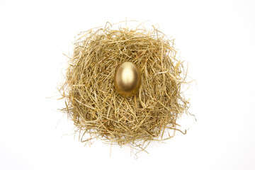 Obraz premium Goldenes Ei im Nest
