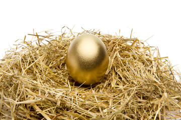 Goldenes Ei im Nest