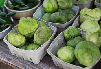 tomatillos in containers
