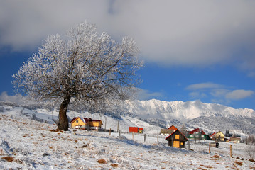 Winter village in Romania
