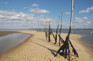 bassin d'arcachon