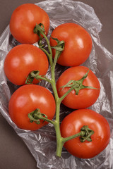 tomatoes on branch
