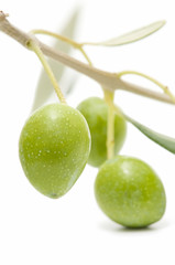 green olives