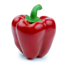 Paprika isolated on a white background