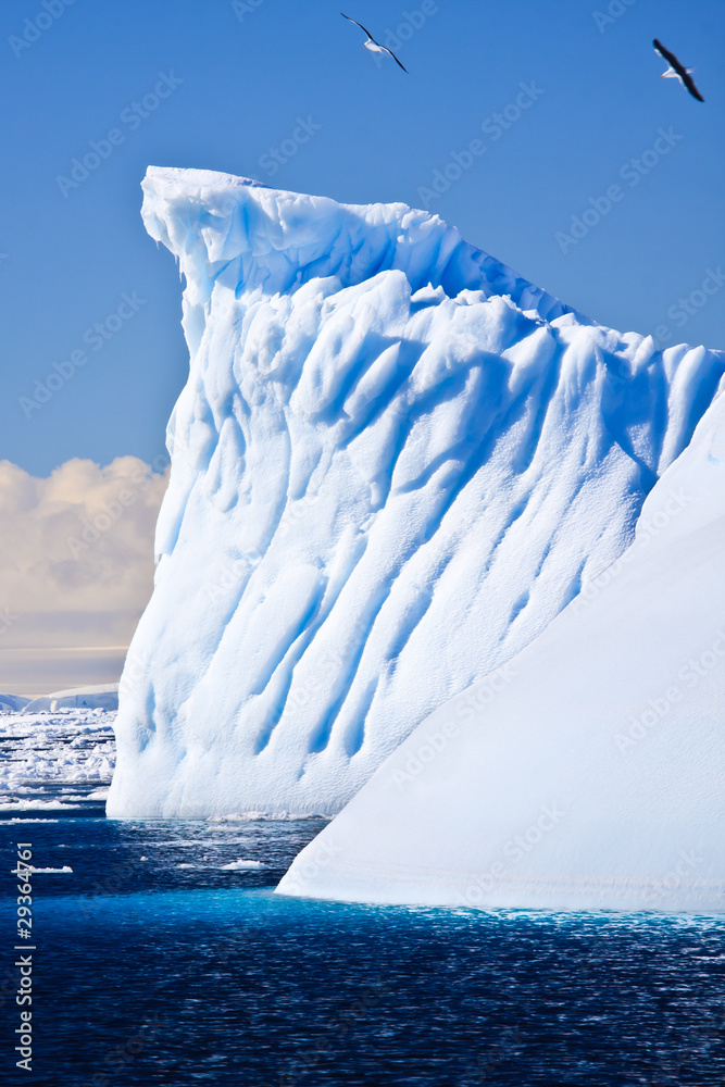 Wall mural antarctic iceberg