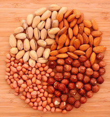 Different types of nuts