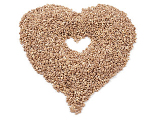 heart of the wheat grain