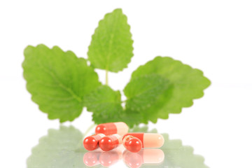 pharmazie