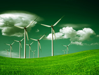 Ecology