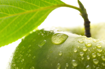 fresh green wet apple with leaf, granny smith  macro shot