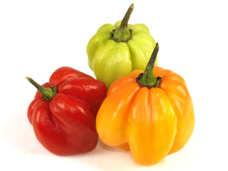 Scotch Bonnet Chillies