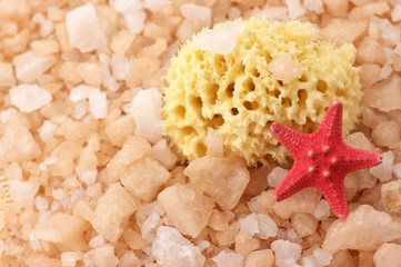 Bath salt, sponge and starfish