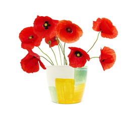 Obraz premium red poppies