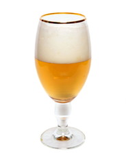 Glass of beer on white background