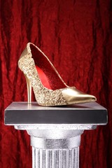 Gold Schuh  Rot 01