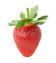Delicious strawberry.