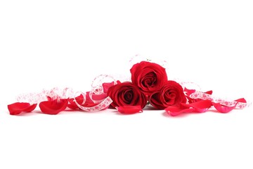 Closeup of red rose with petals